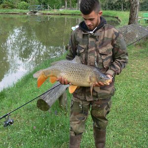 Carpe pêchée dans l'étang en 2018