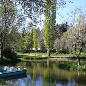 Etang de pêche 2015 21