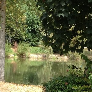 Etang de pêche 2012 05