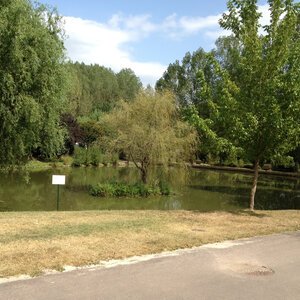 Etang de pêche 2012 03