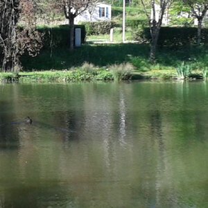 Etang de pêche 2015 20