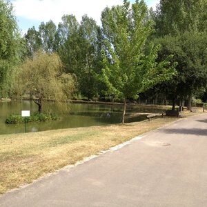 Etang de pêche 2012 07