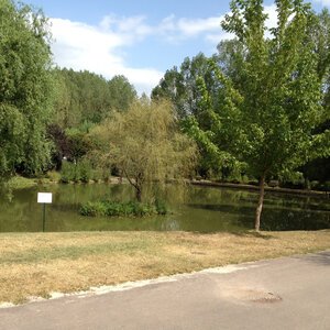 Etang de pêche 2012 08