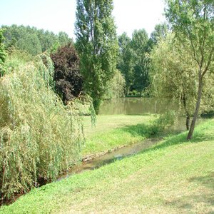 Etang de pêche 2013 15