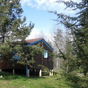 La nature au chalet du Périgord